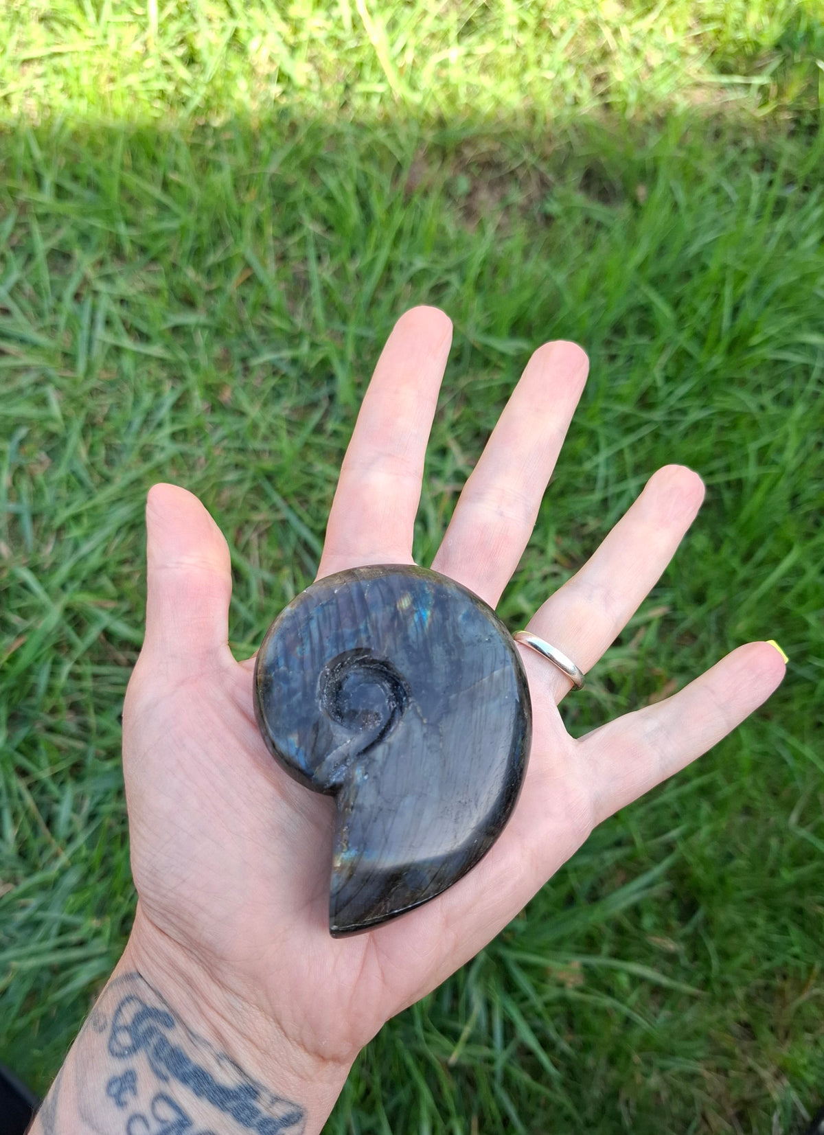 Labradorite Ammonite Carving, 153.97g, Crystal (Ref: laba2)