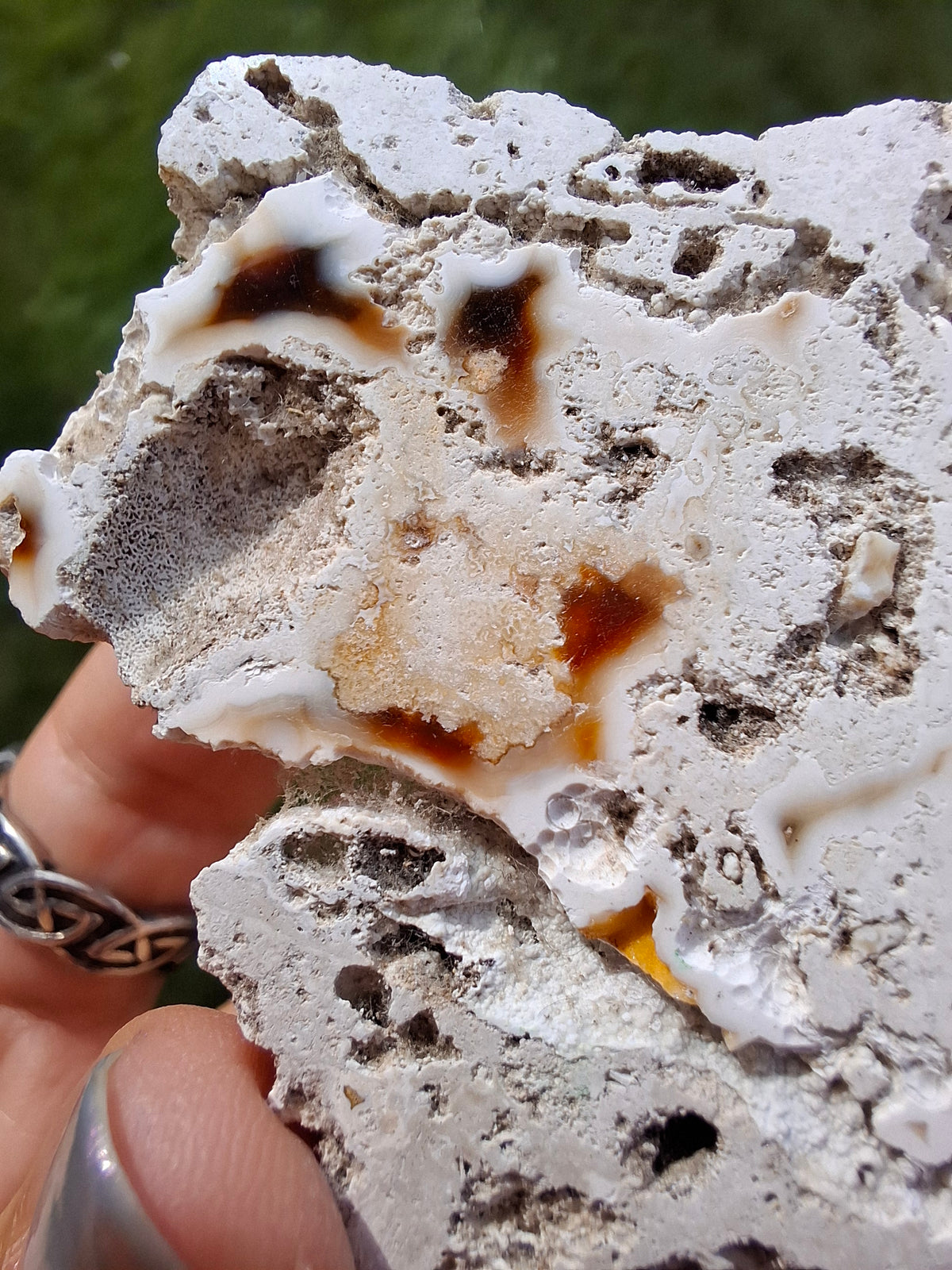 Fossilised Coral replaced by Chalcedony/Agate, Fossil (Ref: FCA1)