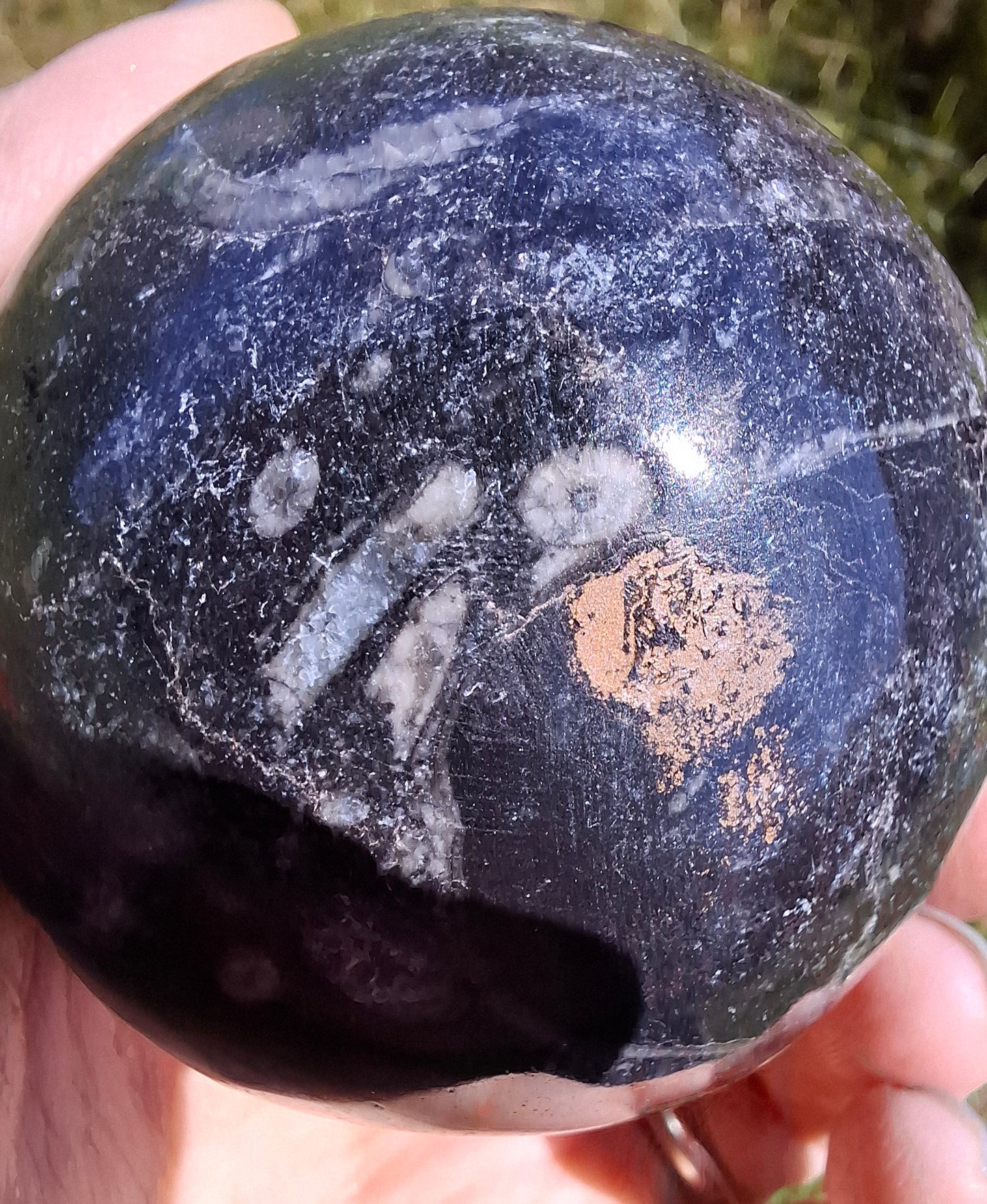 Orthoceras Sphere, Fossil (Ref: OS3)