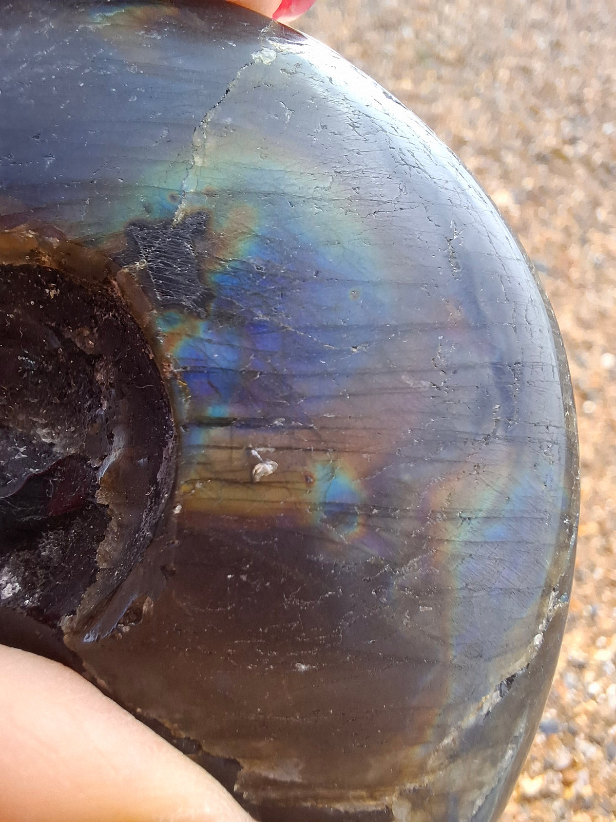 Labradorite Ammonite Carving, 89.31g, Crystal (Ref: laba6)