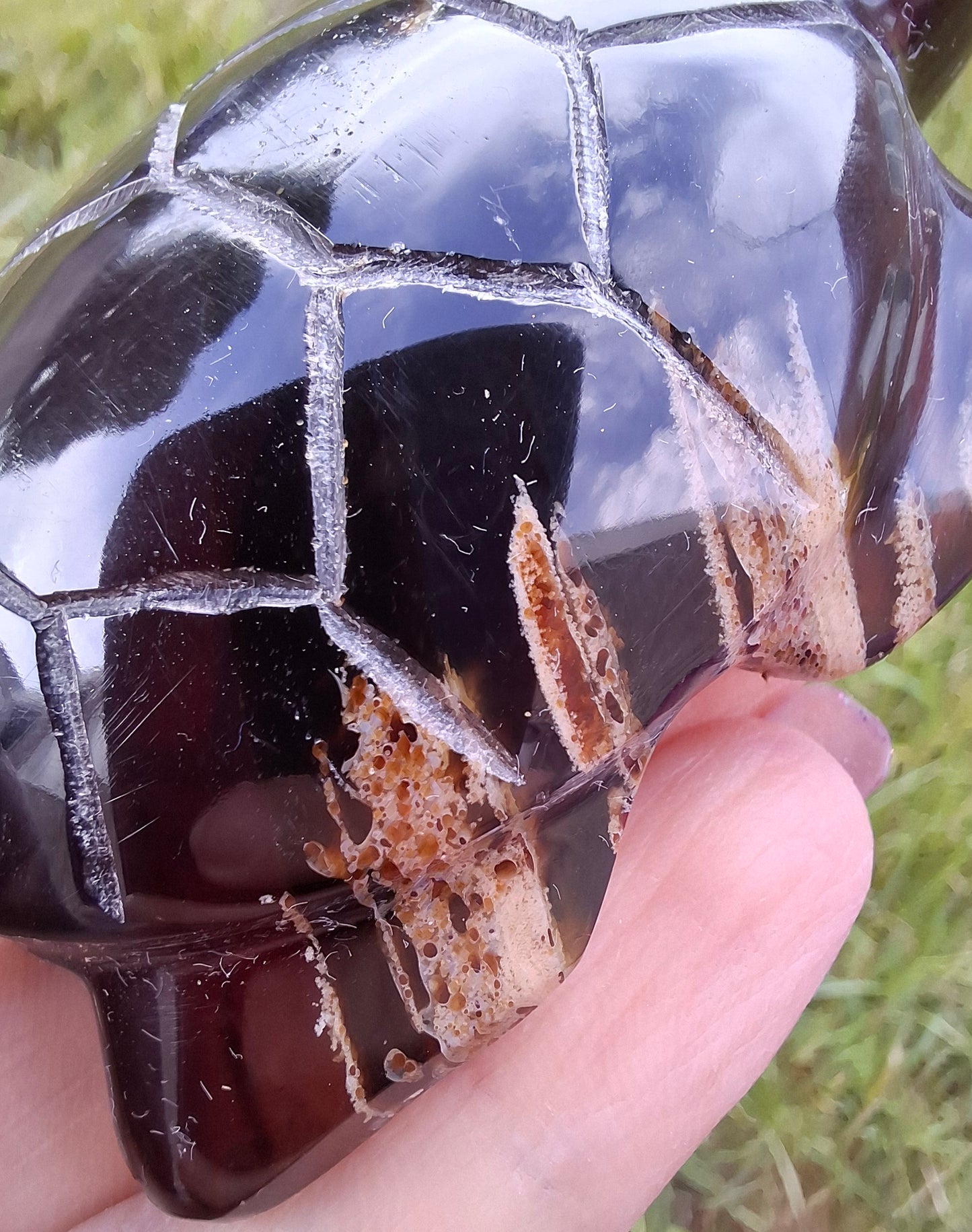Red Amber Turtle, 47.85g, Carving, Fossil (Ref: TT4)