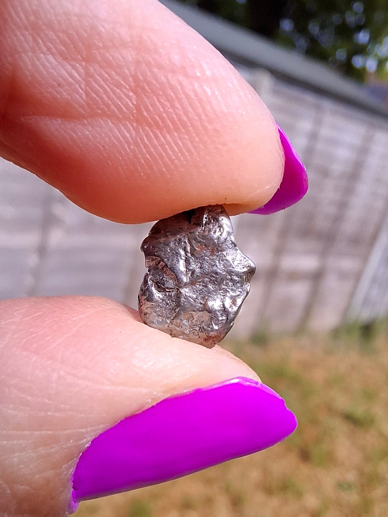 Campo del Cielo, 0.96g, Nickel Iron Meteorite (Ref: C7)
