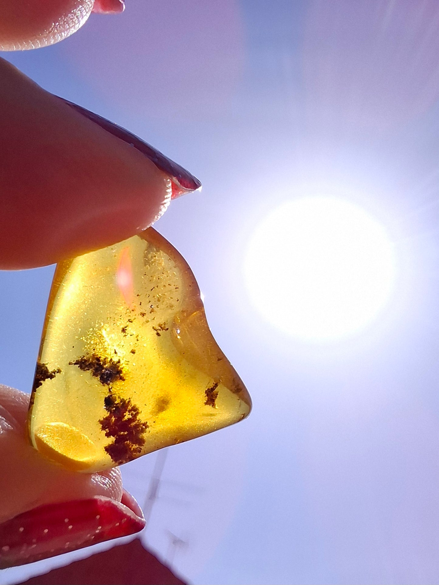 Baltic Amber, 0.91g, Fossil (Ref: A240)