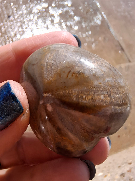 Polished Sea Urchin, Fossil (Ref: SU3)
