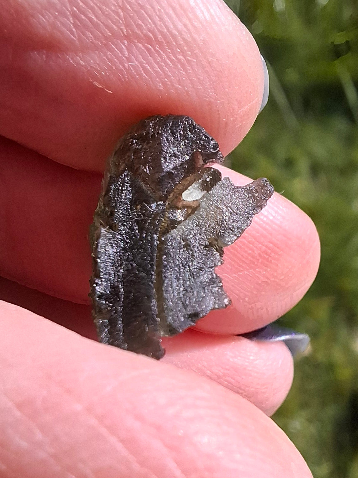 Moldavite Piece, 1.94g, Tektite (Ref: 1390)