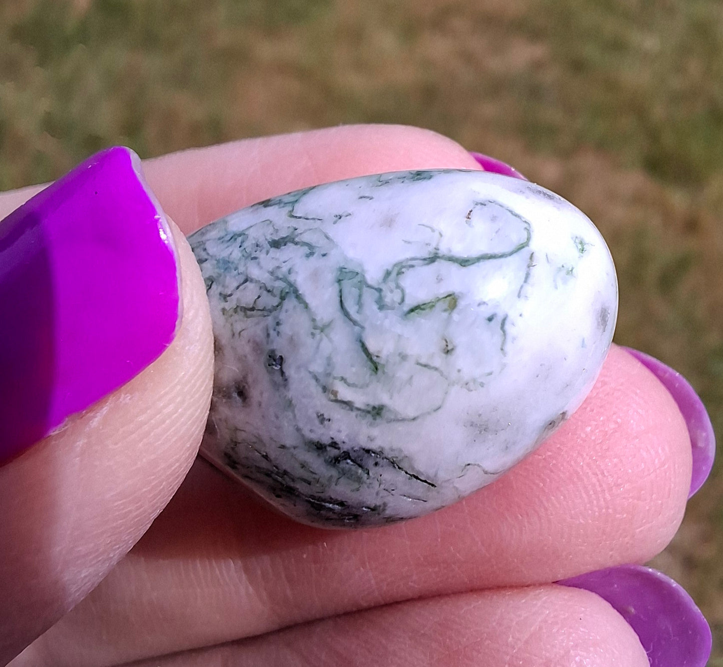 Tree Agate, Tumble Stone, Crystal (Ref: T3)