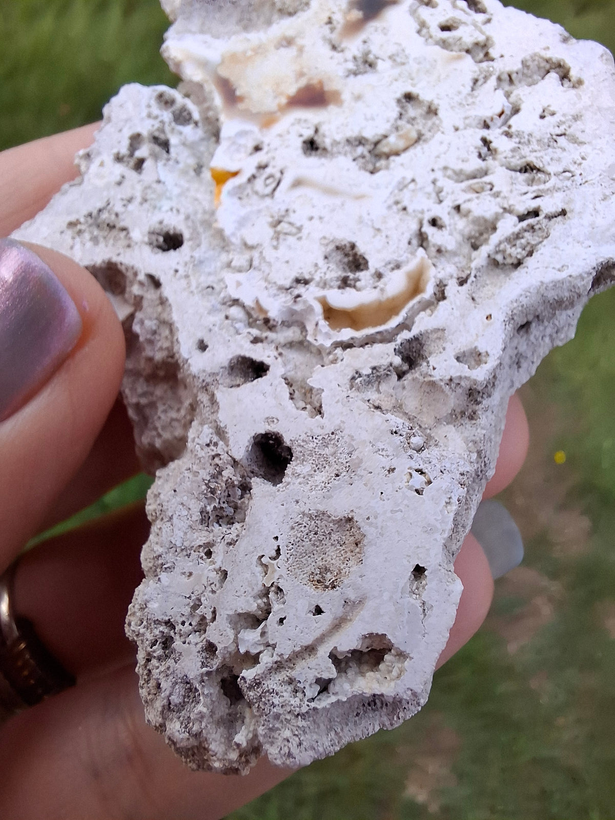 Fossilised Coral replaced by Chalcedony/Agate, Fossil (Ref: FCA1)