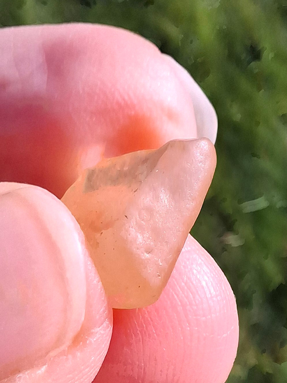 Libyan Desert Glass small Piece, 0.87g, Tektite (Ref: L1352)