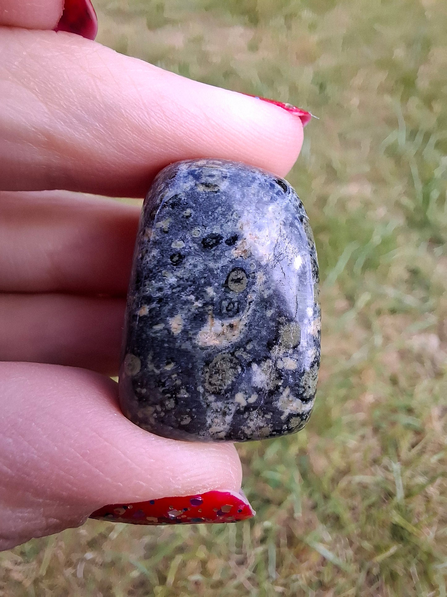 Kambaba Jasper, Tumble Stone, Crystal (Ref: T164)