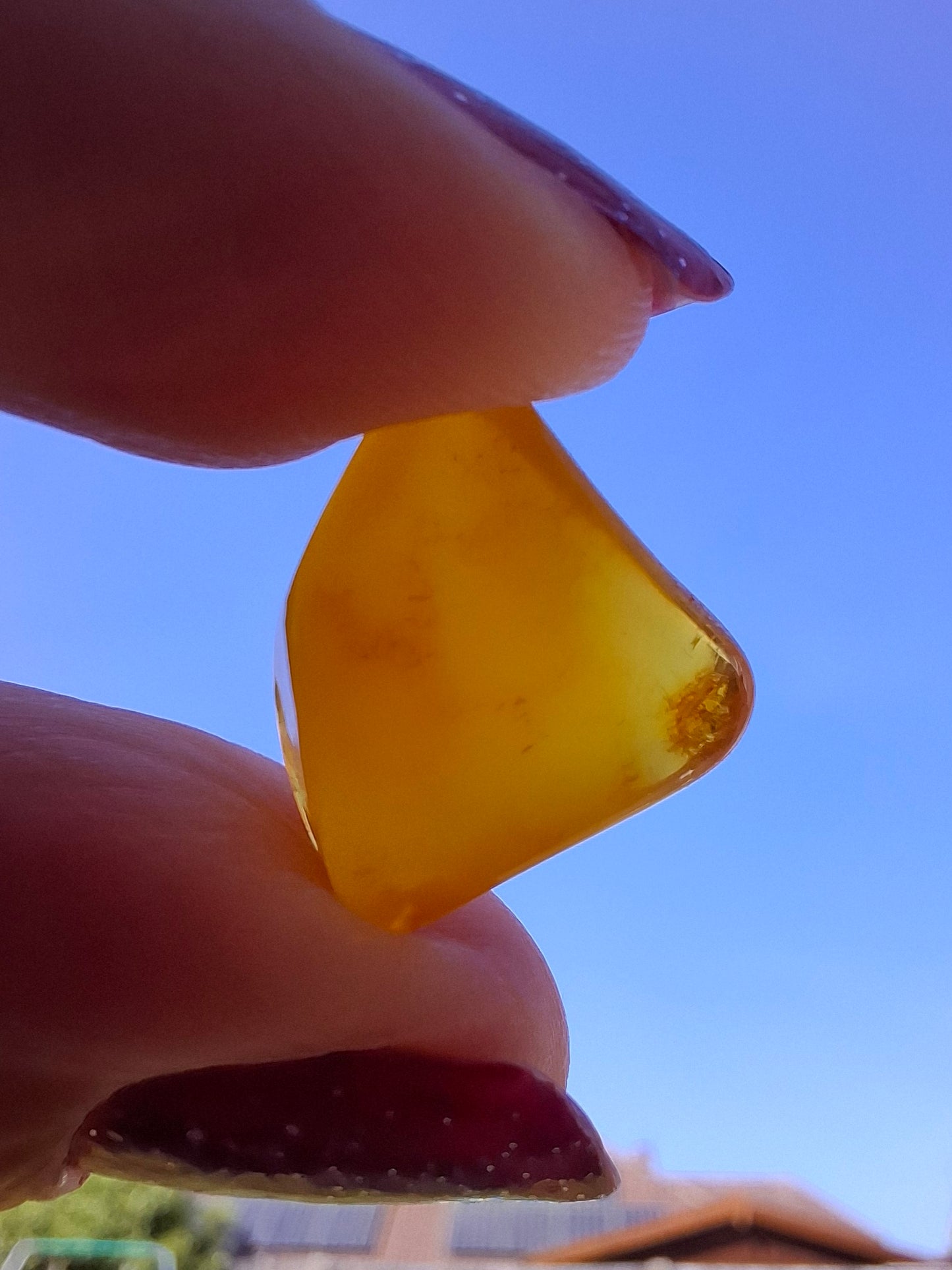 Baltic Amber, 1.00g, Fossil (Ref: A250)