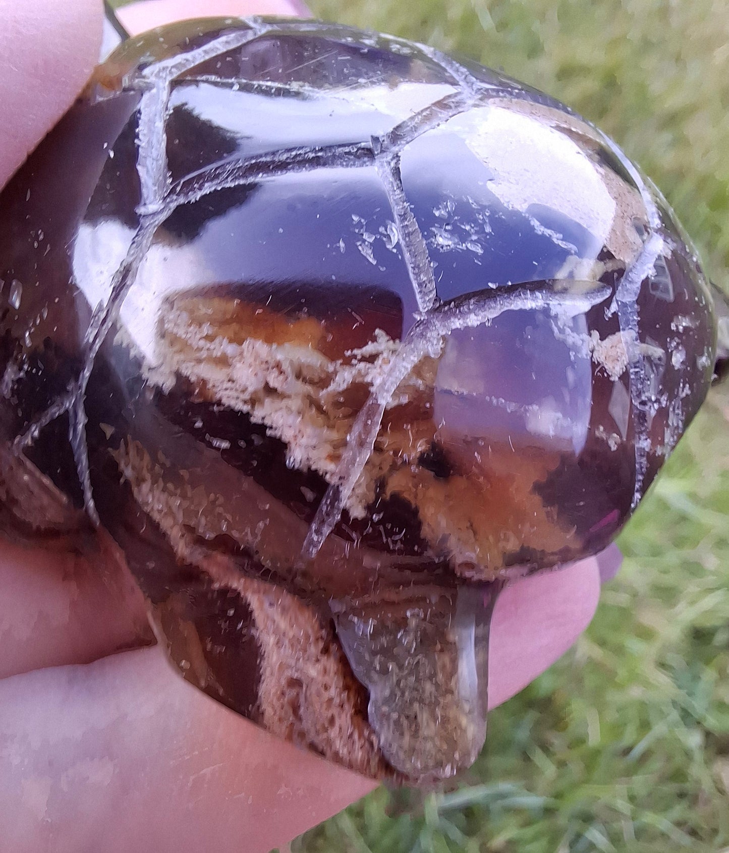 Red Amber Turtle, 56.87g, Carving, Fossil (Ref:TT7)