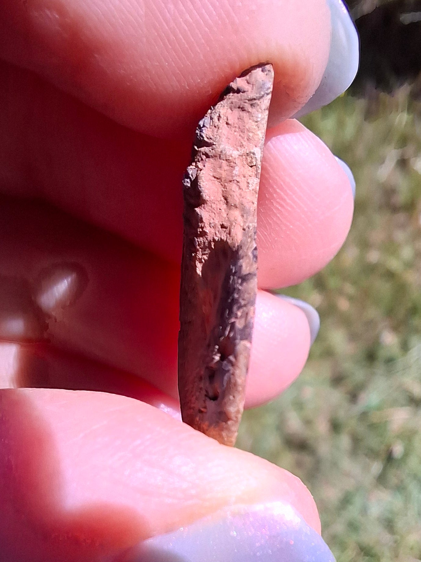 Small Haematite Ammonite HALF, 2.55g, Fossil (Ref: MA8)