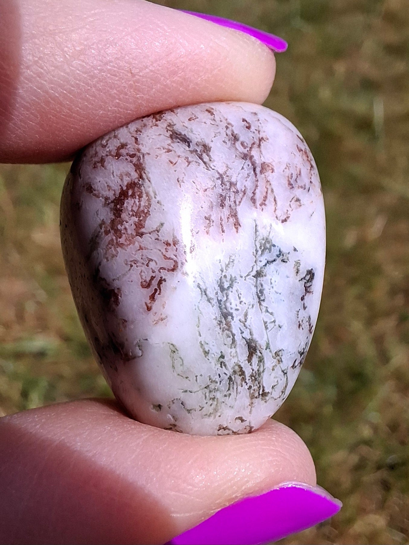 Tree Agate, Tumble Stone, Crystal (Ref: T6)