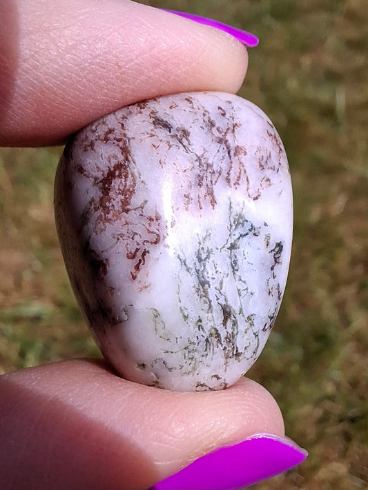 Tree Agate, Tumble Stone, Crystal (Ref: T6)