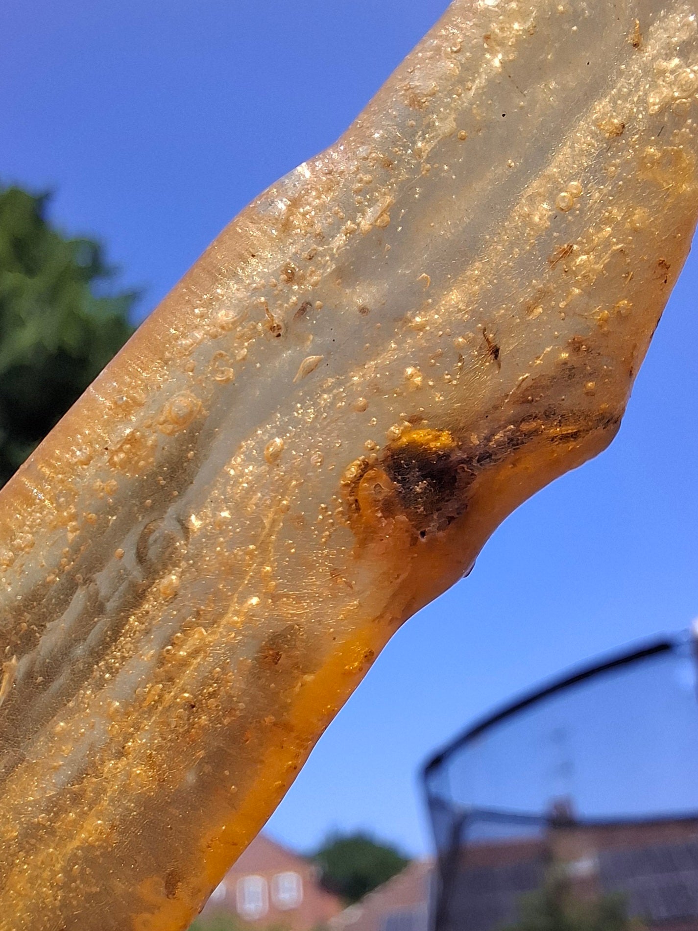 Copal Young Amber with INSECTS inside, 18.29g, Fossil (Ref: CA33)