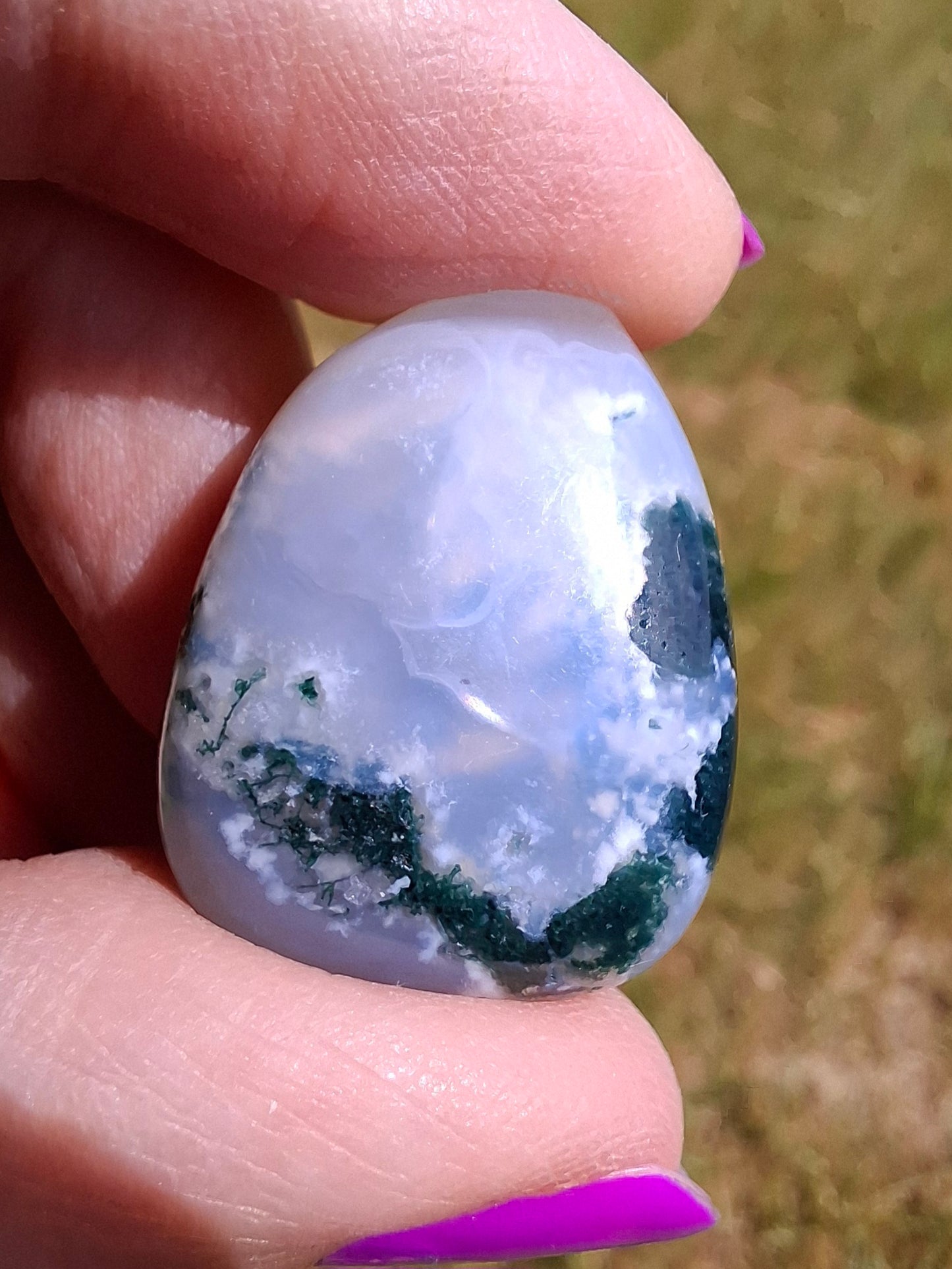 Tree Agate, Tumble Stone, Crystal (Ref: T2)