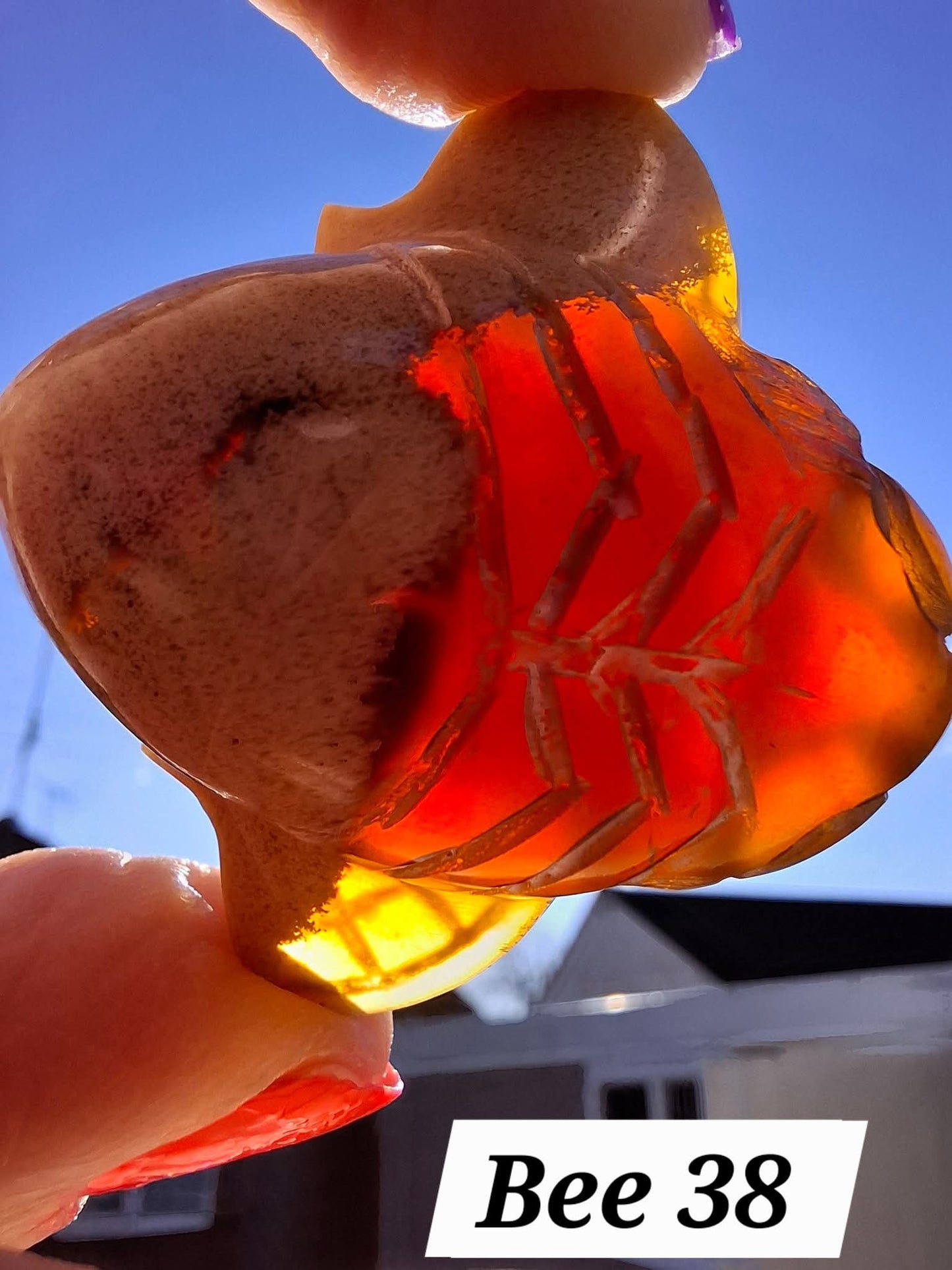 Red Amber Honey Bee Carving, 8.34g, Fossil (Ref: Bee38)