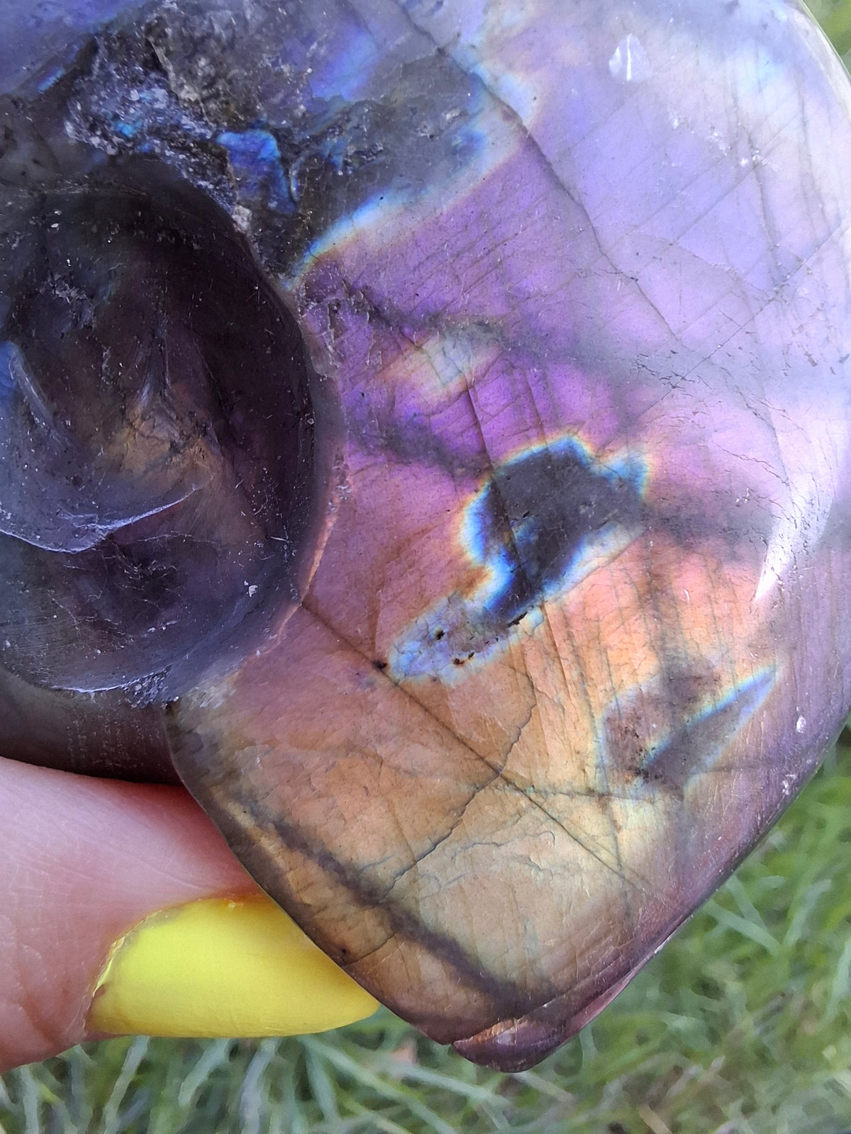 Labradorite Ammonite Carving, 146.90g, Crystal (Ref: laba5)