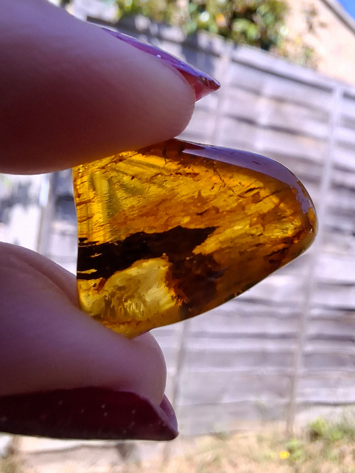 Baltic Amber, 1.61g, Fossil (Ref: A186)
