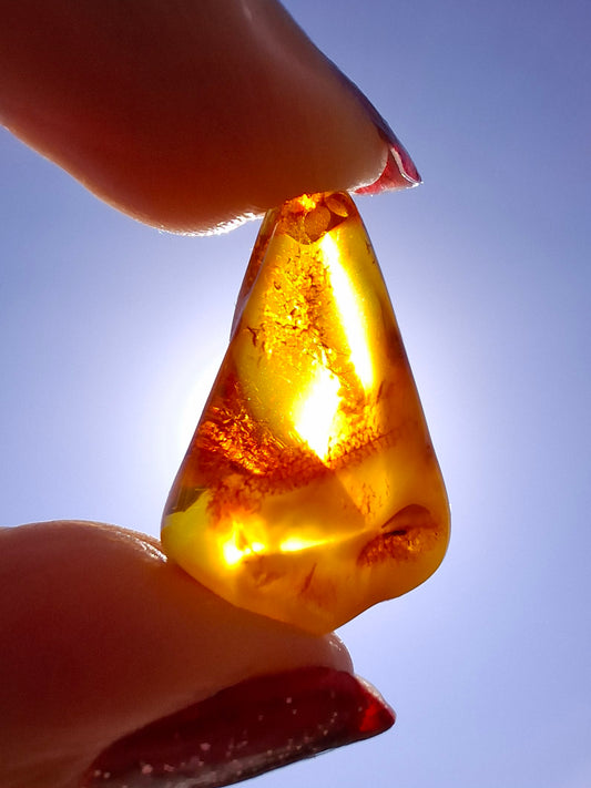 Baltic Amber, 1.52g, Fossil (Ref: A189)