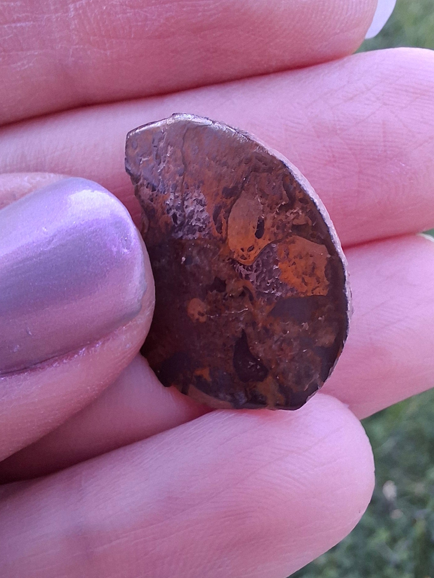 Small Haematite Ammonite HALF, 2.59g, Fossil (Ref: MA7)