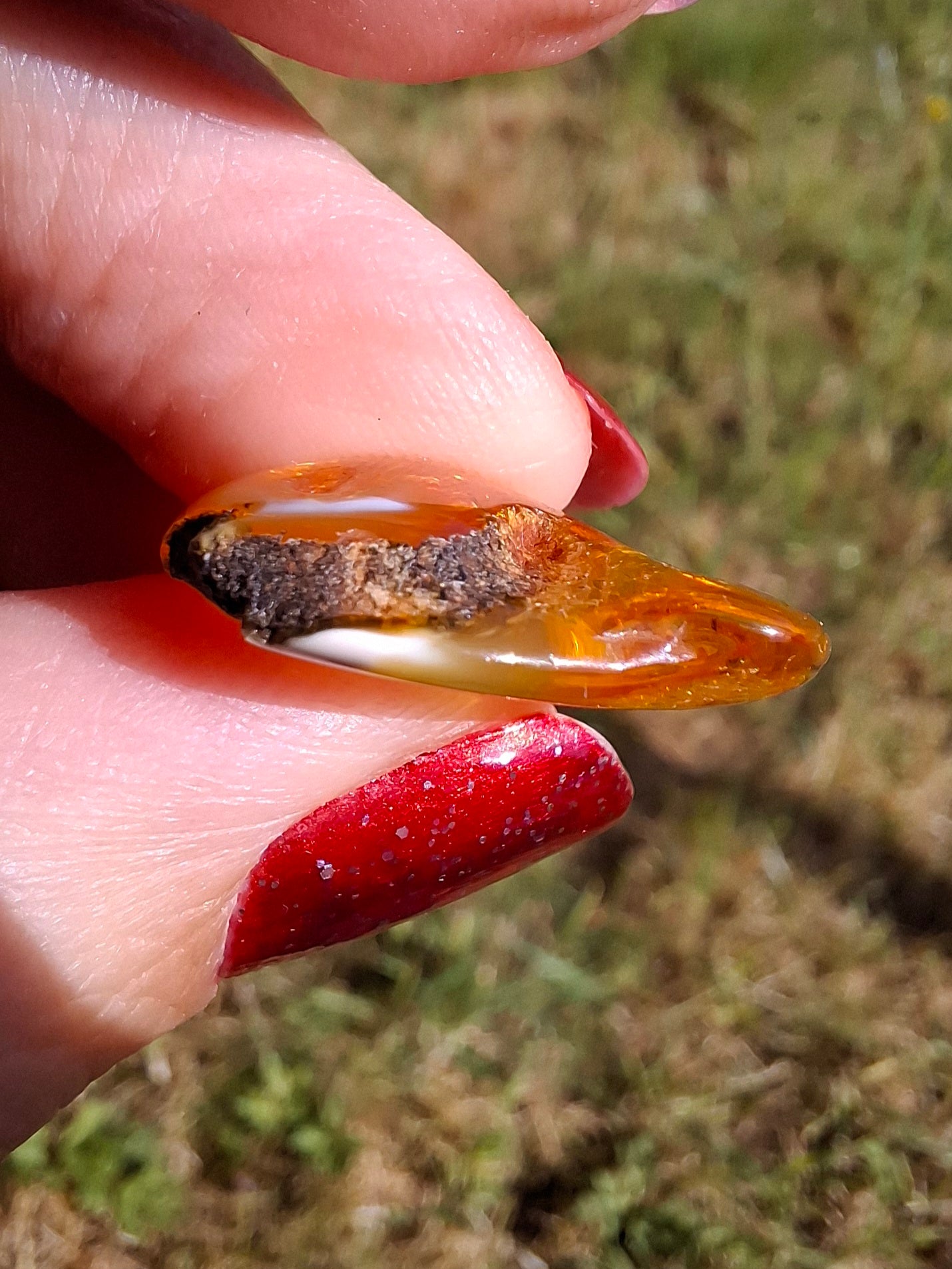 Baltic Amber, 1.45g, Fossil (Ref: A76)