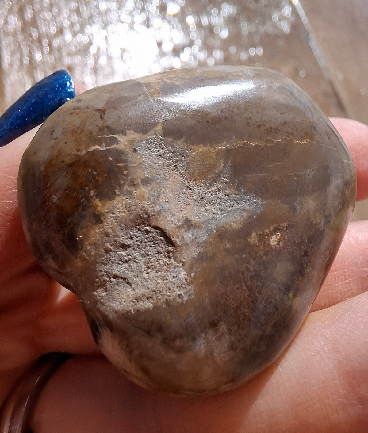Polished Sea Urchin, Fossil (Ref: SU3)