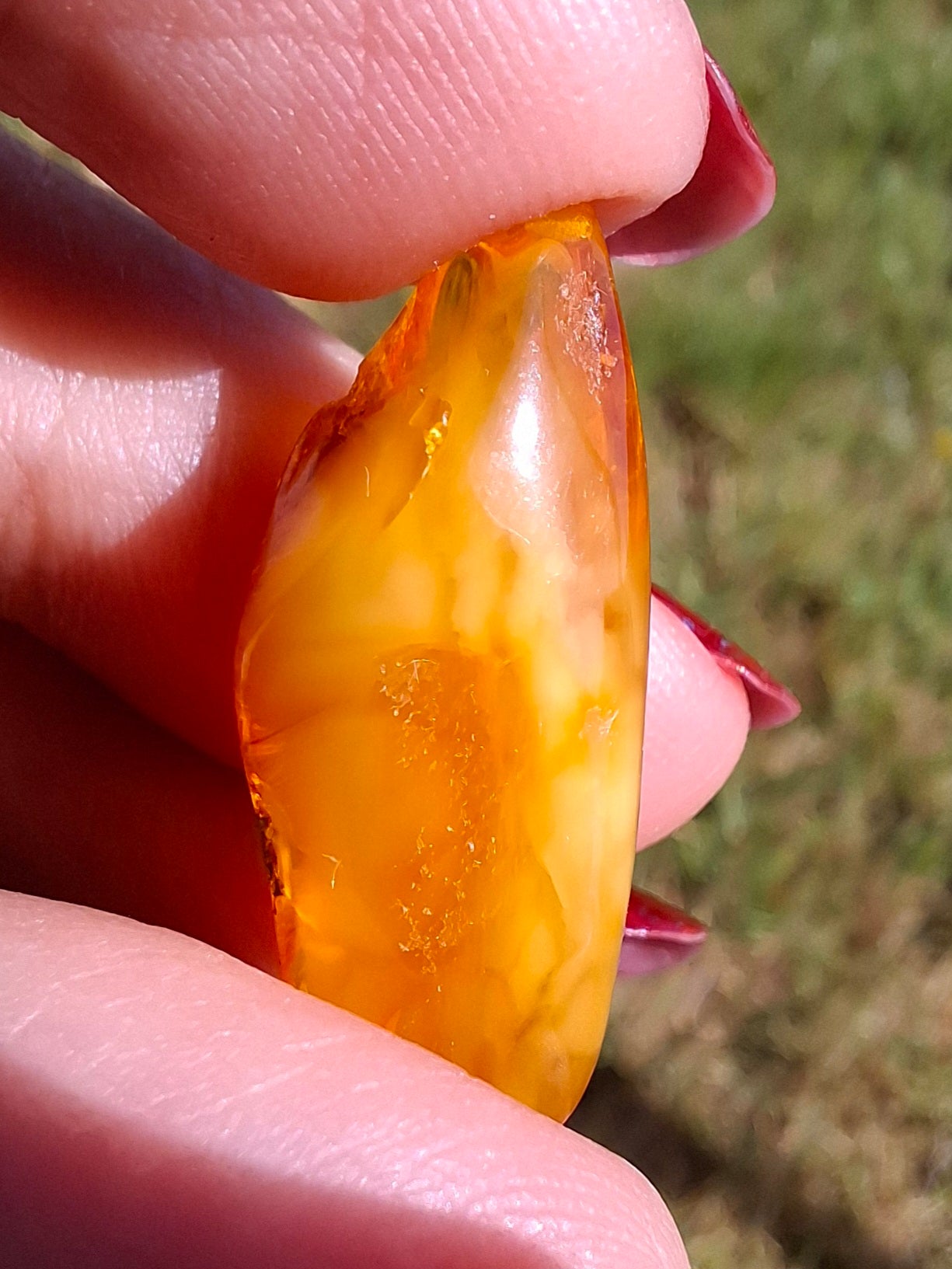 Baltic Amber, 1.68g, Fossil (Ref: A233)