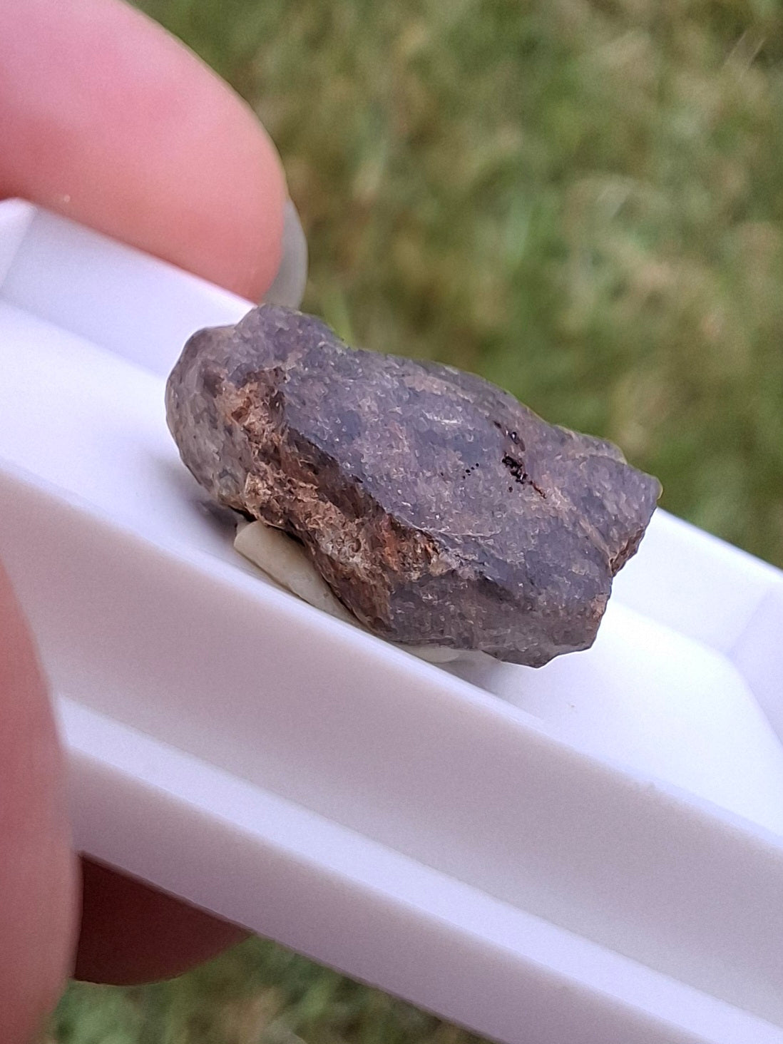 Chondrite, Meteorite (Ref: CM10)
