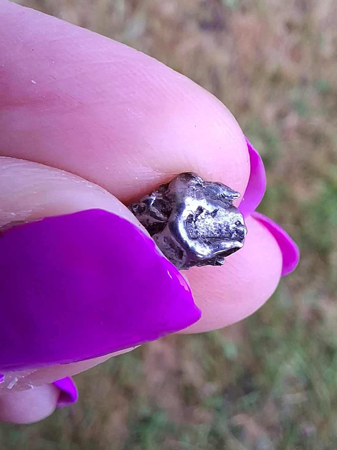 Campo del Cielo, 0.87g, Nickel Iron Meteorite (Ref: C4)
