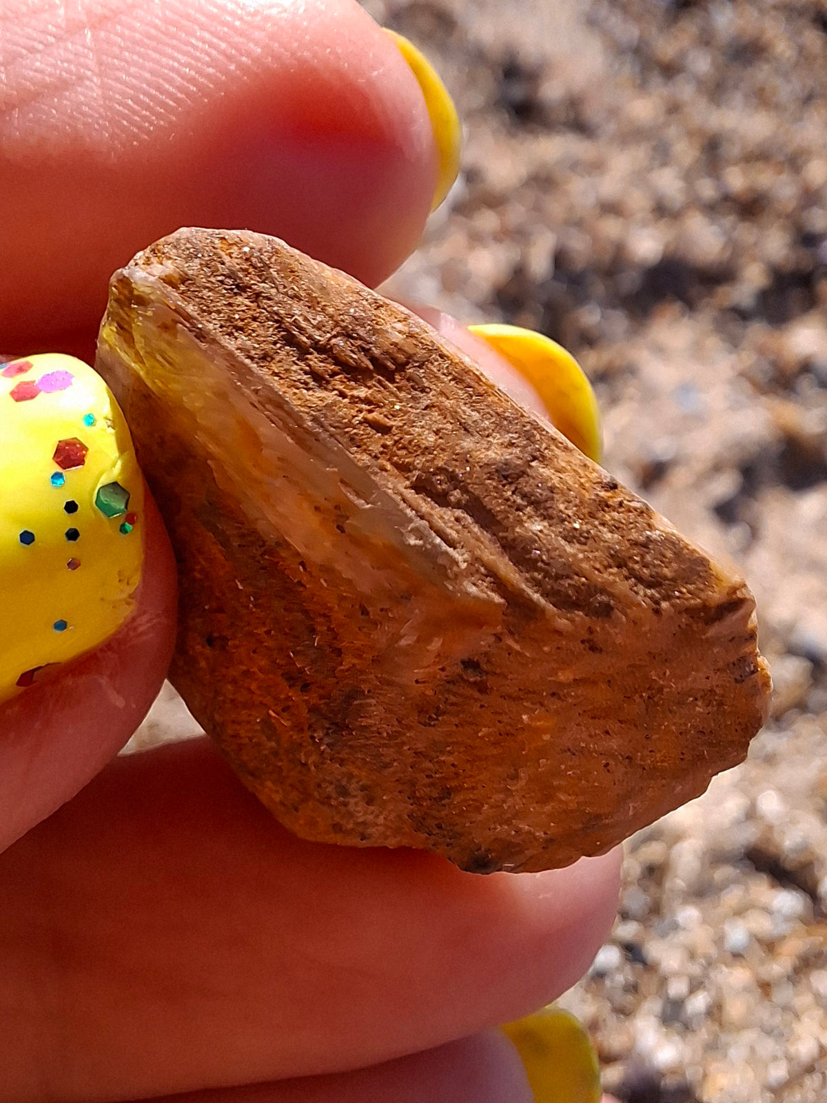 Diaspore (Zultanite), 8.80g, Crystal (Ref: DIS3)