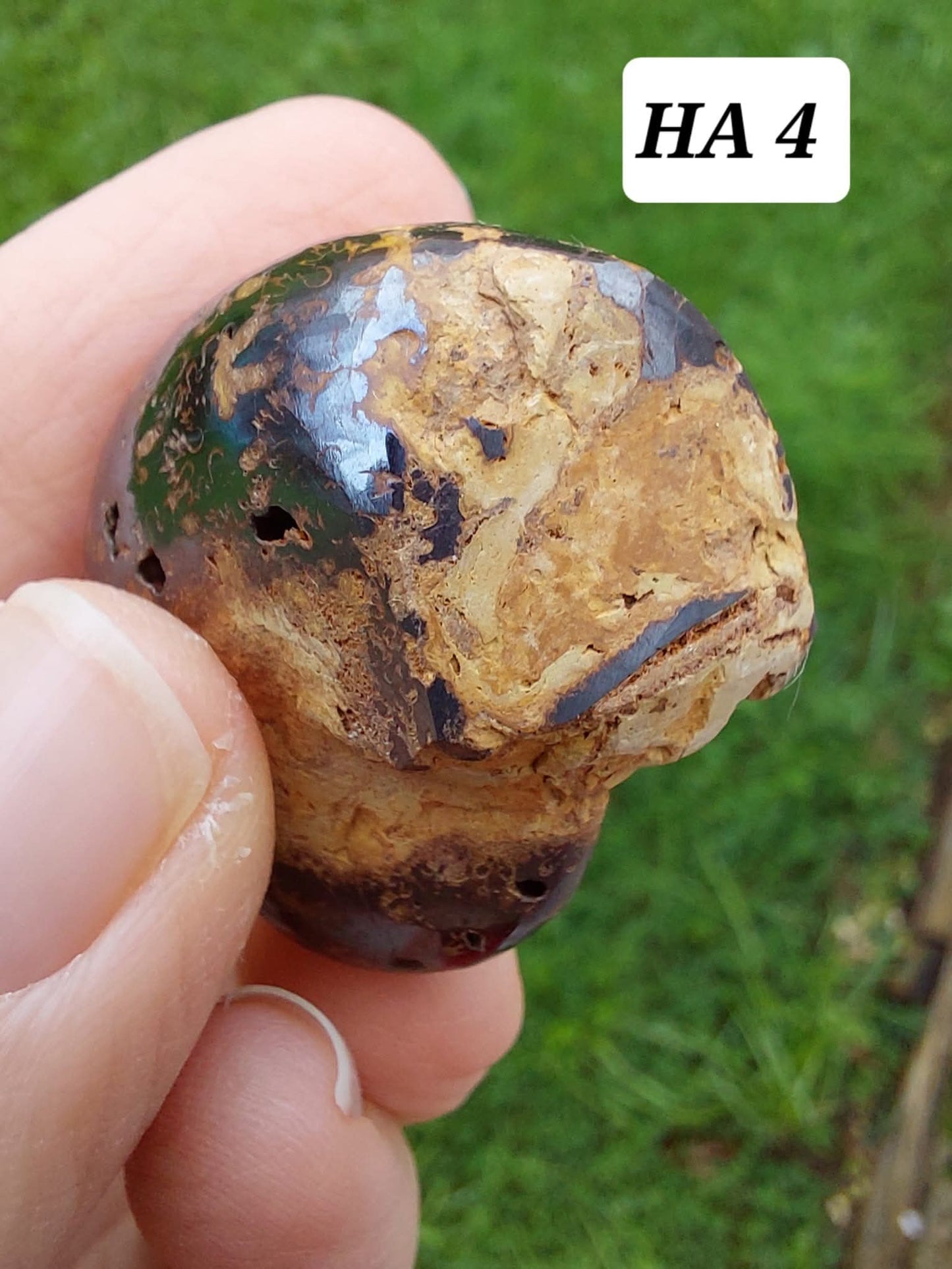 Hematite Ammonite, 18.26g, Fossil (Ref: HA4)