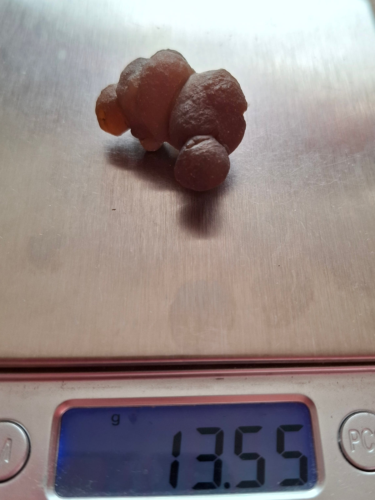 Nebula Chalcedony, 13.55g, Fossil (Ref: NC8)