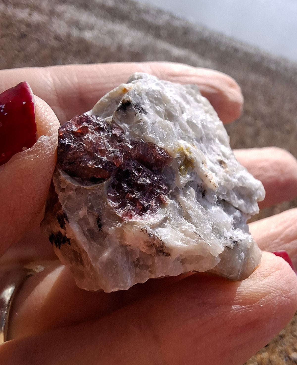 (Dig your own) Garnet in Matrix, Crystal (Ref: RG5)
