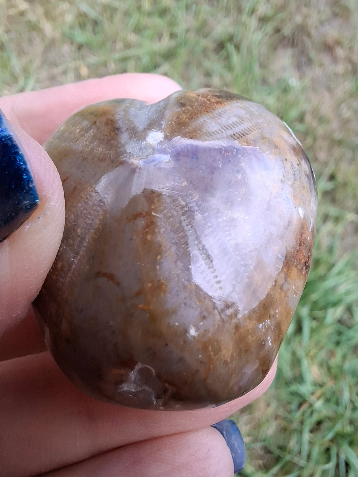 Polished Sea Urchin, Fossil (Ref: SU3)