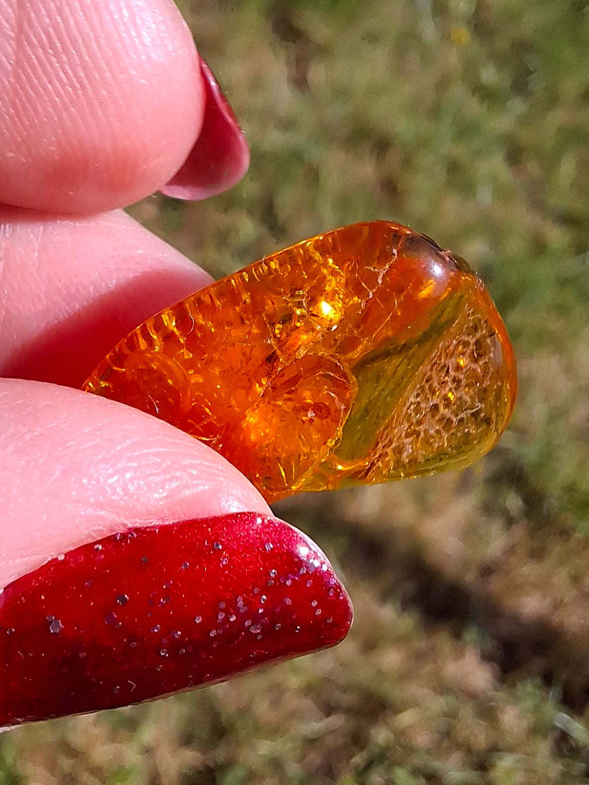 Baltic Amber, 1.07g, Fossil (Ref: A98)