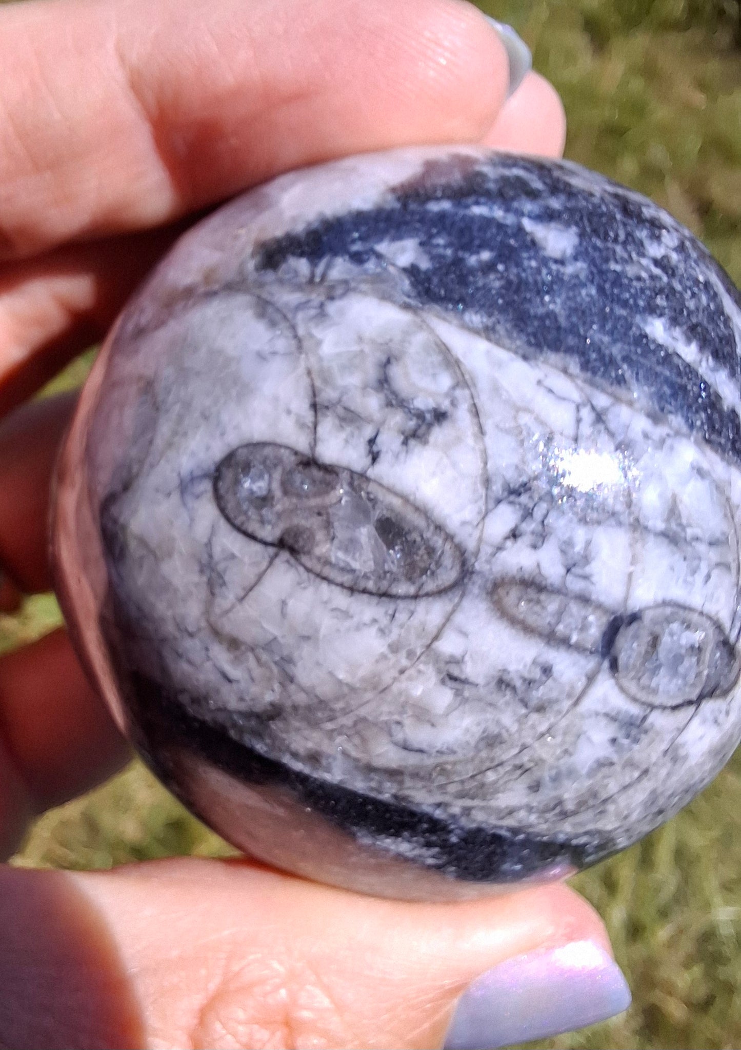 Orthoceras Sphere, Fossil (Ref: OS2)