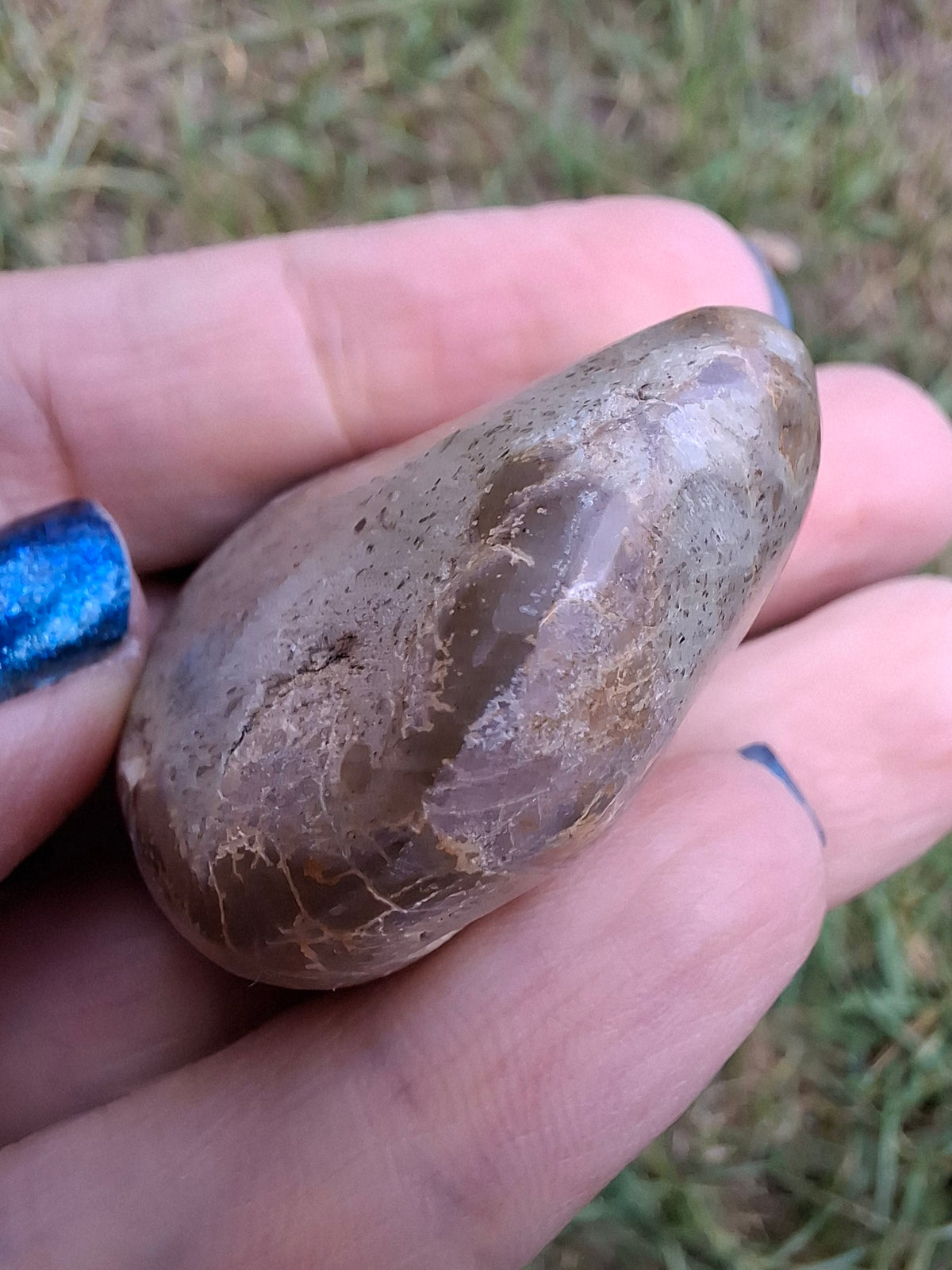 Polished Sea Urchin, Fossil (Ref: SU5)