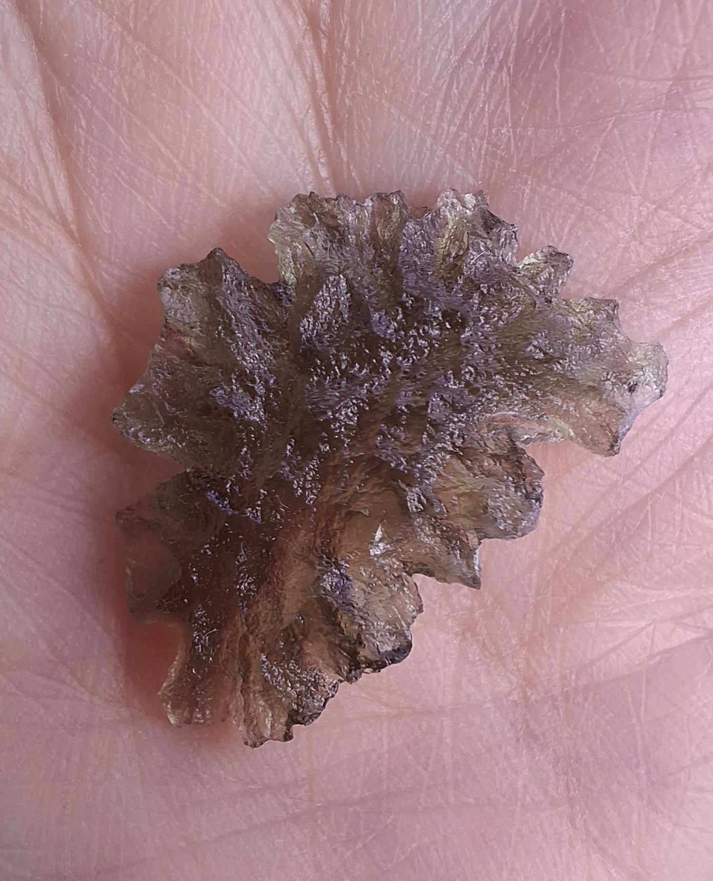 Moldavite Piece, JEZKOVNA BESEDNICE, 1.18g, Tektite (Ref: 1271)
