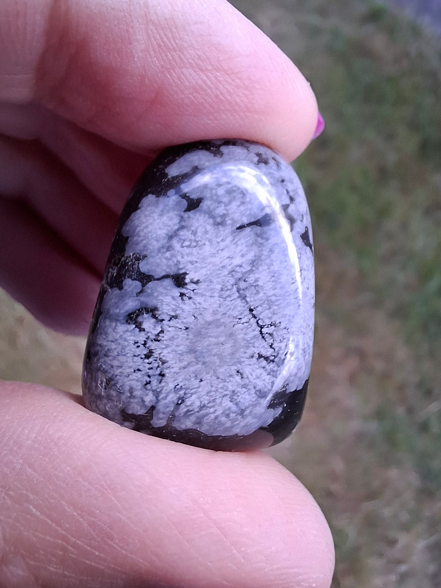 Snowflake Obsidian, Tumble Stone, Crystal (Ref: T97)