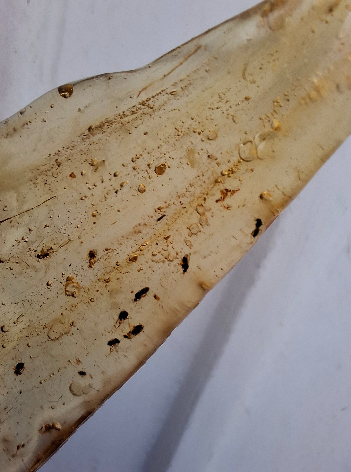 Copal Young Amber with INSECTS inside, 28.43g, Fossil (Ref: CA10)