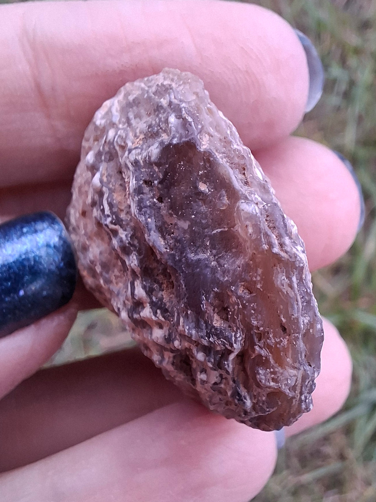 Chalcedony Oyster, Fossil (Ref: FO7)