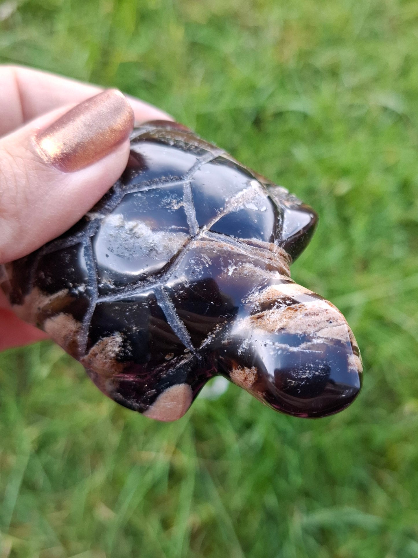 Red Amber Turtle, 50.00g, Carving, Fossil (Ref: TT6)