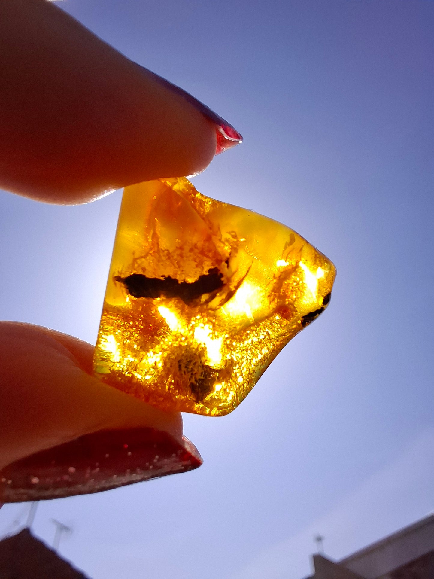 Baltic Amber, 1.74g, Fossil (Ref: A201)
