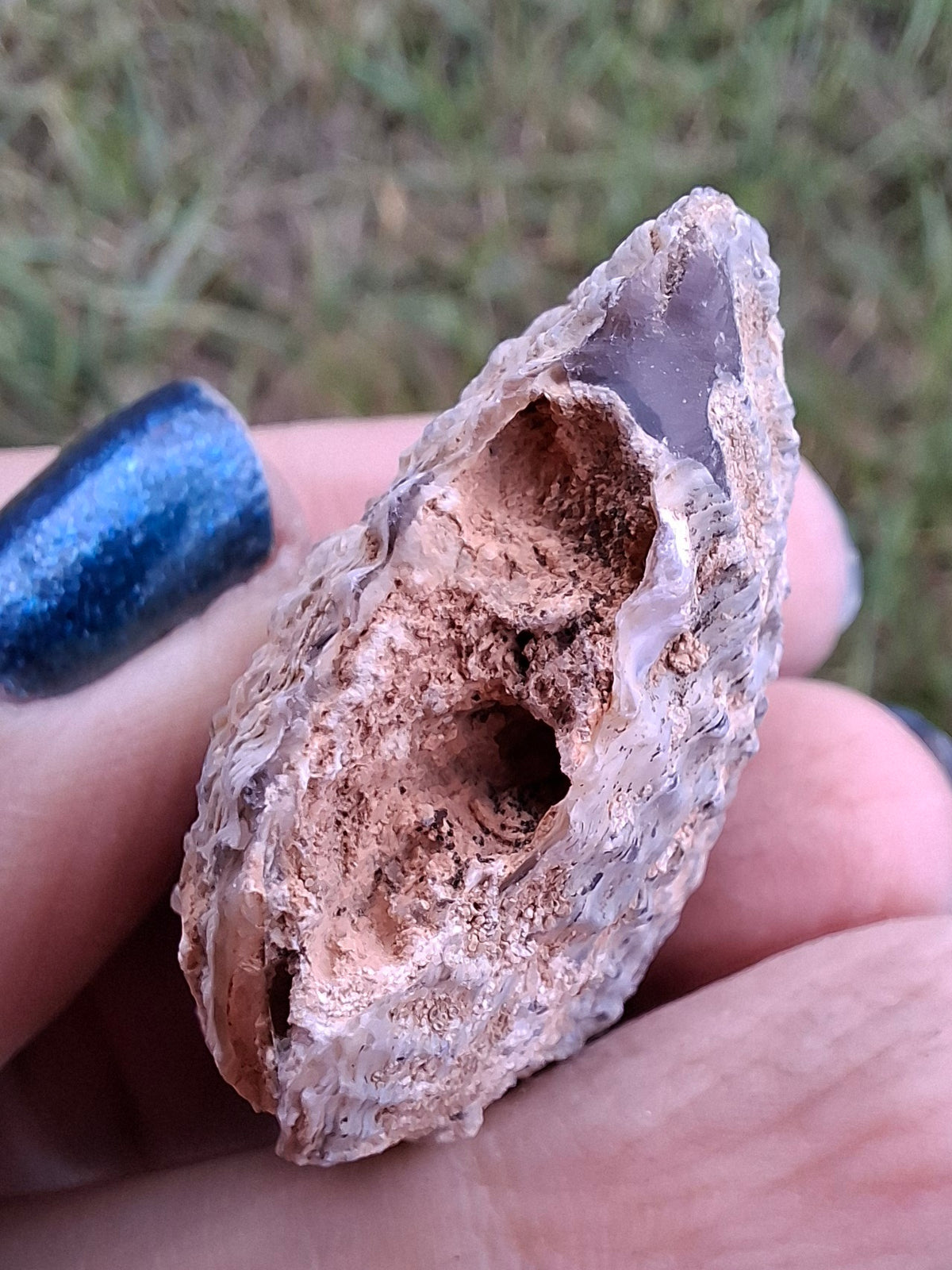 Chalcedony Oyster, Fossil (Ref: FO5)