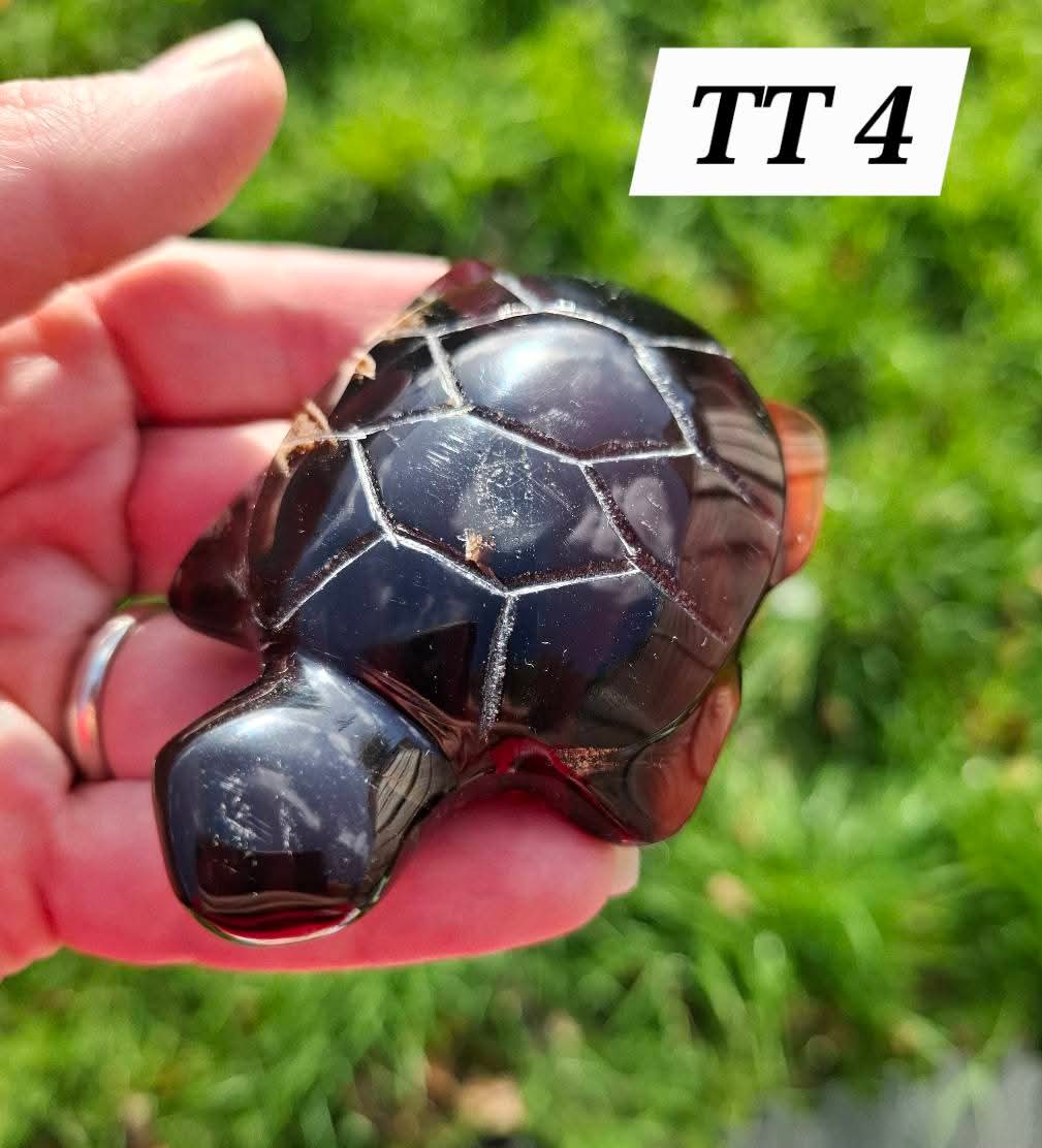 Red Amber Turtle, 47.85g, Carving, Fossil (Ref: TT4)