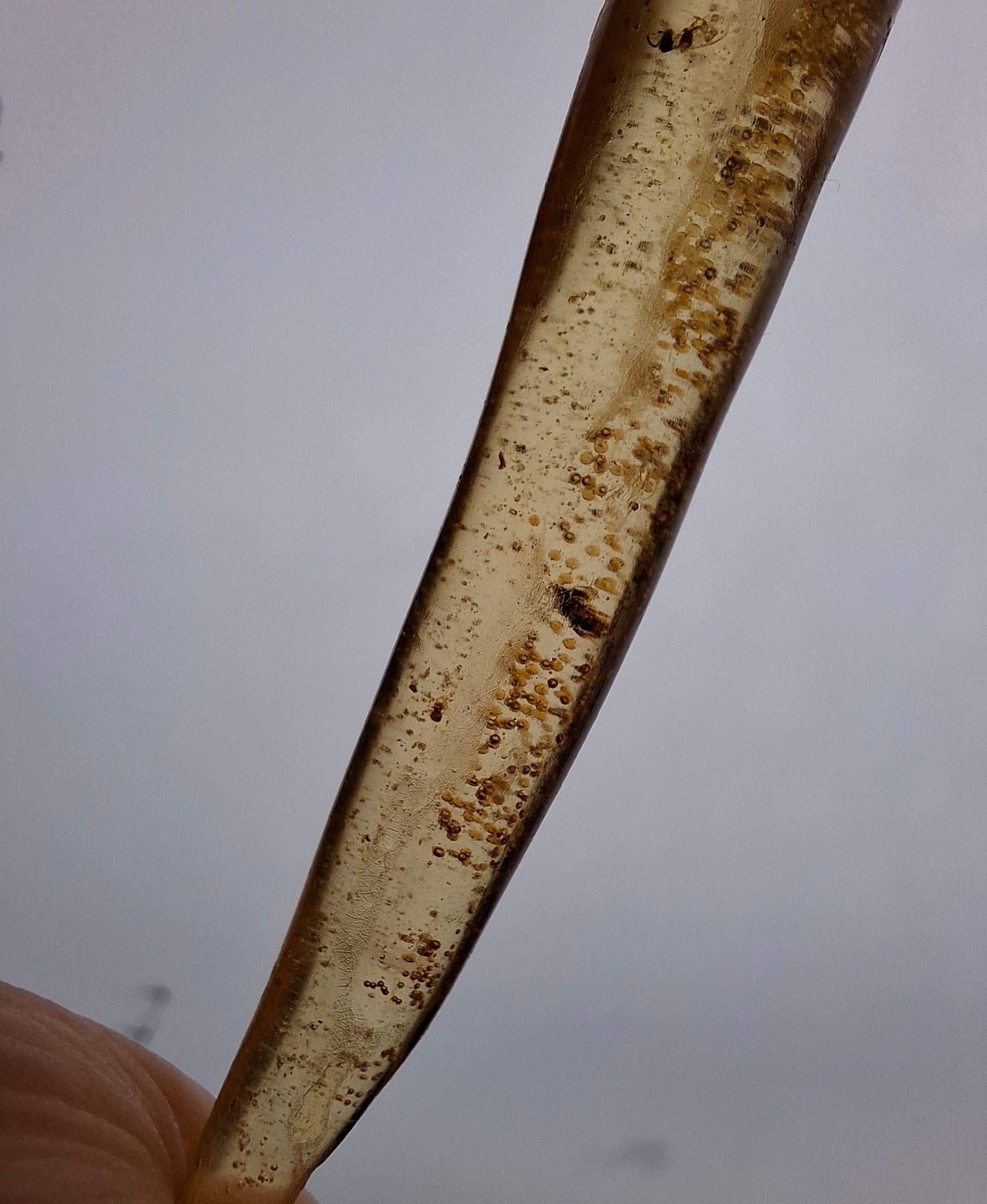Copal Young Amber with INSECTS inside, 5.46g, Fossil (Ref: CA36)