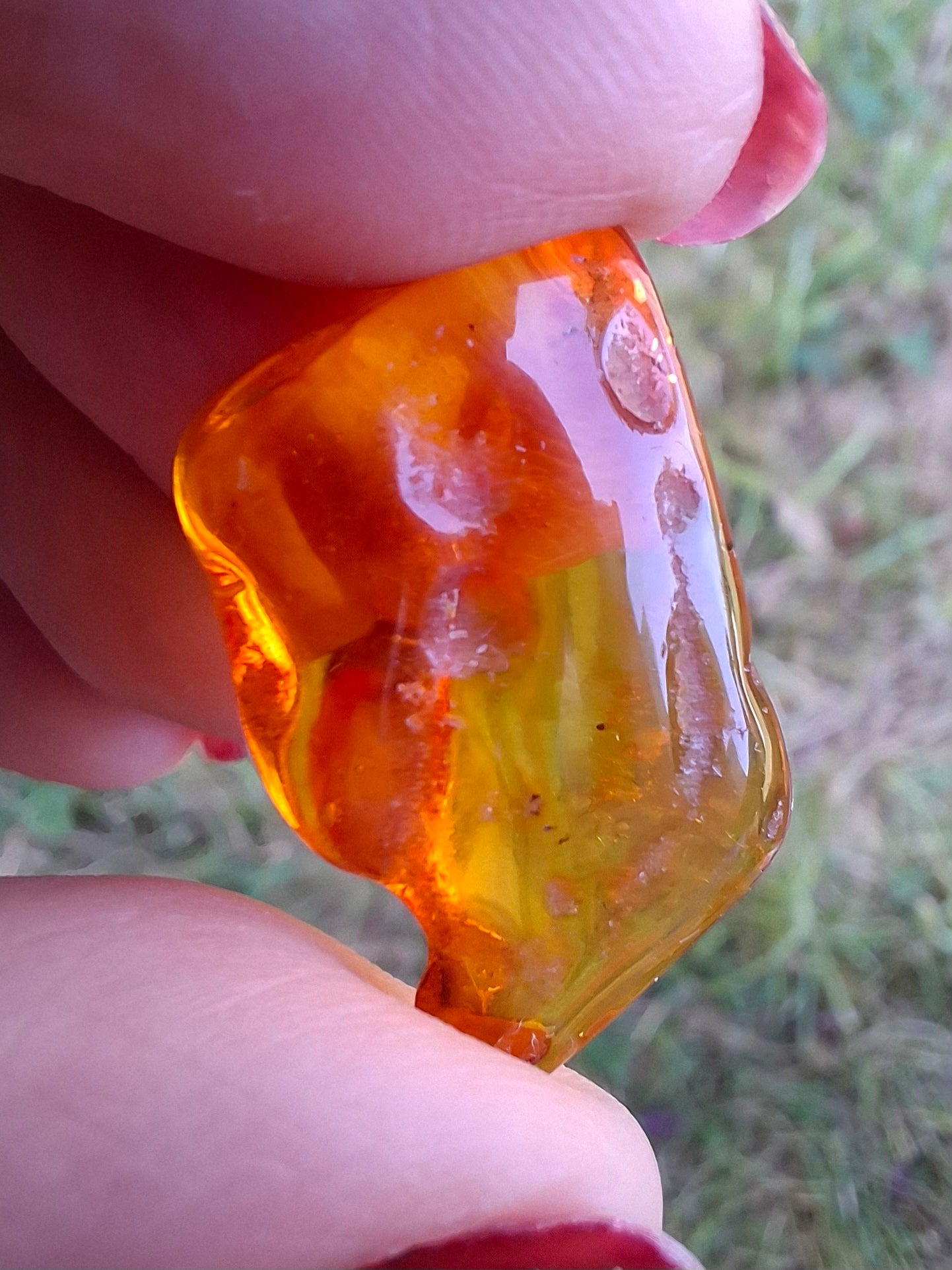 Baltic Amber, 1.40g, Fossil (Ref: A187)