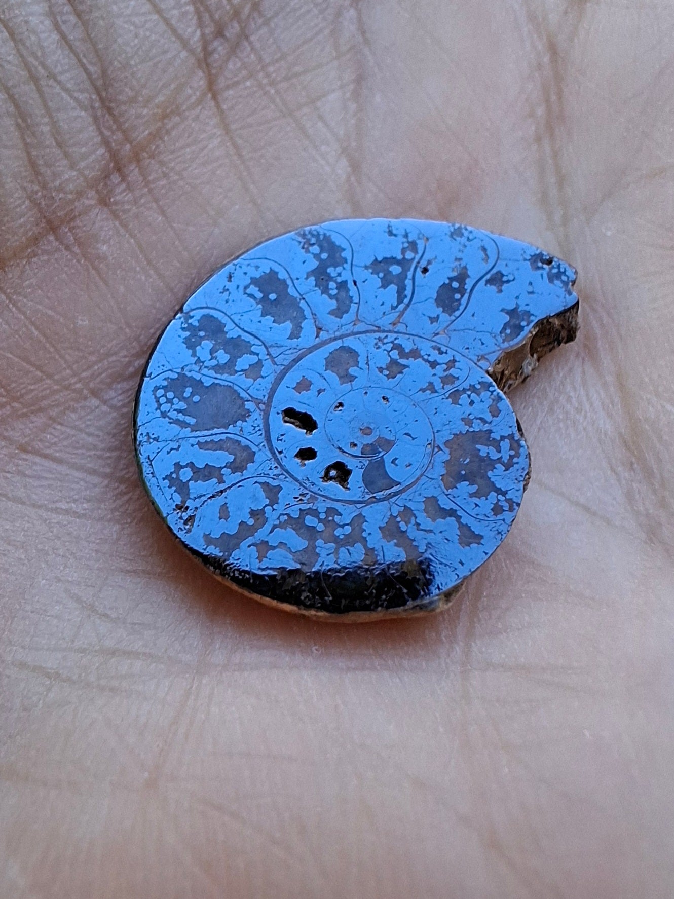 Small Haematite Ammonite HALF, 2.19g, Fossil (Ref: MA3)