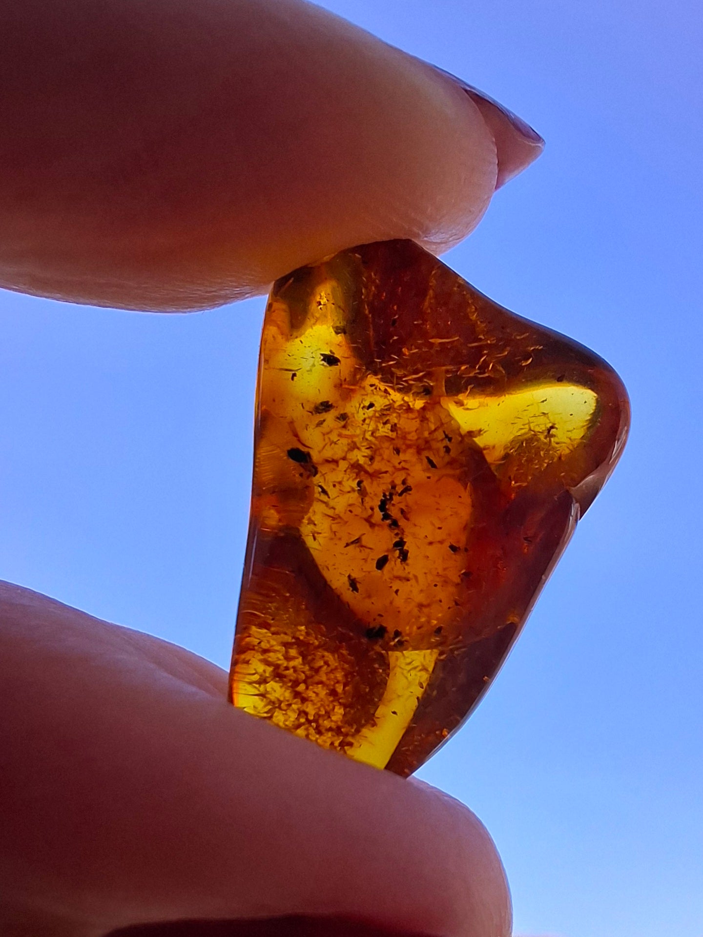 Baltic Amber, 1.47g, Fossil (Ref: A238)